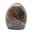 Microclino ornamentale — 1