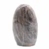Roccia microclinale nera lucidata - 0