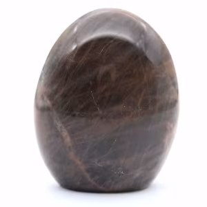 Pietra di luna nera lucidata a forma libera