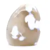 Agata ornamentale - 4