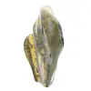 Jasper calabrone indonesiano: ornamento in pietra naturale lucidata - 6