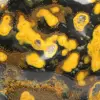 Jasper calabrone indonesiano: ornamento in pietra naturale lucidata - 13