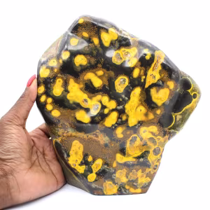 Jasper calabrone indonesiano: ornamento in pietra naturale lucidata