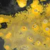 Jasper a forma libera: autentico esemplare da collezione - 12