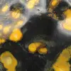 Jasper a forma libera: autentico esemplare da collezione - 13