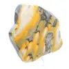 Bumblebee Jasper: pietra lucidata a forma libera per collezionisti - 5