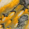 Bumblebee Jasper: pietra lucidata a forma libera per collezionisti - 8