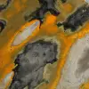 Bumblebee Jasper: pietra lucidata a forma libera per collezionisti - 9