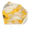 Pietra naturale Bumblebee Jasper: un oggetto di scienza e bellezza - 2