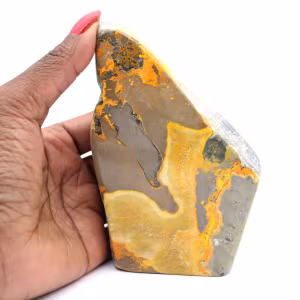 Jasper calabrone indonesiano: esemplare di decorazione minerale