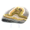 Jasper calabrone indonesiano: pietra finemente lucidata e grafica - 1