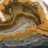 Jasper calabrone indonesiano: pietra finemente lucidata e grafica - 8