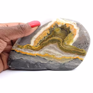 Jasper calabrone indonesiano: pietra finemente lucidata e grafica