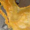 Esemplare di diaspro calabrone lucidato: origine Indonesia - 8