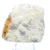 Ornamento di diaspro ape: mineralogia eccezionale - 6