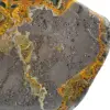 Ornamento di diaspro ape: mineralogia eccezionale - 8