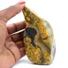 Diaspro a forma di bombo lucidato: esemplare mineralogico dall'Indonesia - 0
