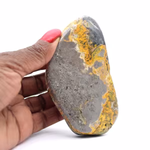 Jasper calabrone indonesiano: pietra decorativa lucidata