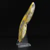 Pietra decorativa minerale di diaspro calabrone lucidato - 3