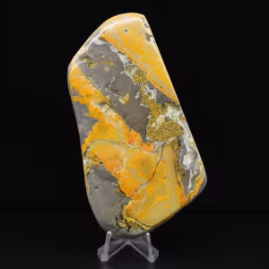 Esemplare di calabrone di diaspro, roccia vulcanica