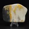Decorazione di autenticità dell'esemplare di calabrone di diaspro - 0