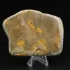 Decorazione di autenticità dell'esemplare di calabrone di diaspro - 4