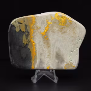 Decorazione di autenticità dell'esemplare di calabrone di diaspro