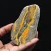 Collezione scientifica lucidata di esemplare di diaspro di Bumblebee - 1
