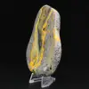 Collezione scientifica lucidata di esemplare di diaspro di Bumblebee - 2
