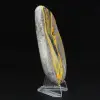 Collezione scientifica lucidata di esemplare di diaspro di Bumblebee - 3