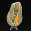 Collezione scientifica lucidata di esemplare di diaspro di Bumblebee - 4