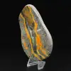 Collezione scientifica lucidata di esemplare di diaspro di Bumblebee - 5