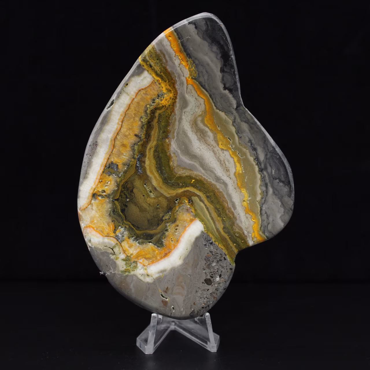 Roccia di diaspro calabrone lucidata Scienza dei minerali