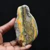 Collezione di decorazioni a forma di calabrone in pietra liscia Jasper - 1