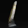 Collezione di decorazioni a forma di calabrone in pietra liscia Jasper - 3