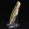 Collezione di decorazioni a forma di calabrone in pietra liscia Jasper - 6