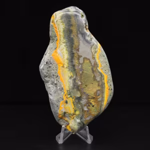 Collezione di decorazioni a forma di calabrone in pietra liscia Jasper
