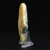 Collezione di pietre levigate Bumblebee Jasper di grandi dimensioni - 3