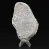 Collezione di pietre levigate Bumblebee Jasper di grandi dimensioni - 6