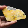 Esemplare di collezione di calabroni di diaspro liscio - 1