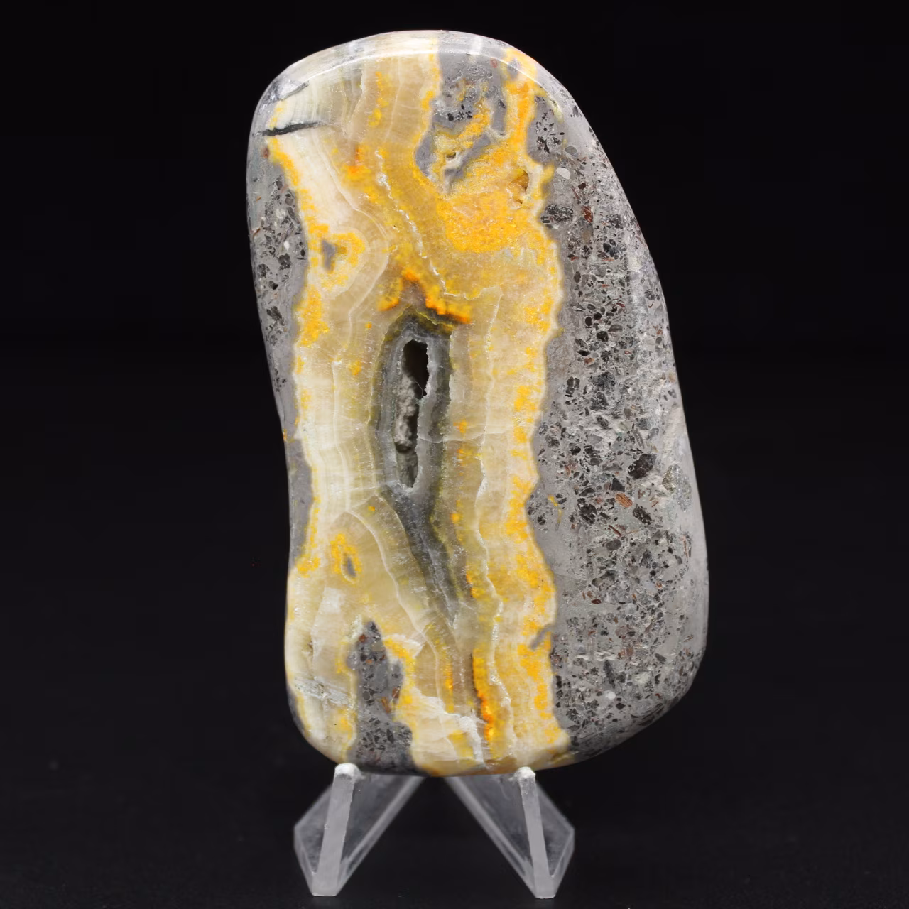 Collezione lucidata in miniatura di Jasper Bumblebee