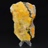 Bumblebee Jasper: esemplare da collezione - 0