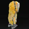 Bumblebee Jasper: esemplare da collezione - 2