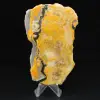 Bumblebee Jasper: esemplare da collezione - 4