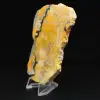 Bumblebee Jasper: esemplare da collezione - 5