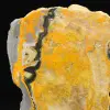 Bumblebee Jasper: esemplare da collezione - 7
