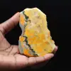 Bumblebee Jasper: esemplare da collezione - 1