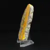 Piccolo calabrone Jasper dall'Indonesia - 3