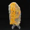 Piccolo calabrone Jasper dall'Indonesia - 4