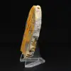 Piccolo calabrone Jasper dall'Indonesia - 6